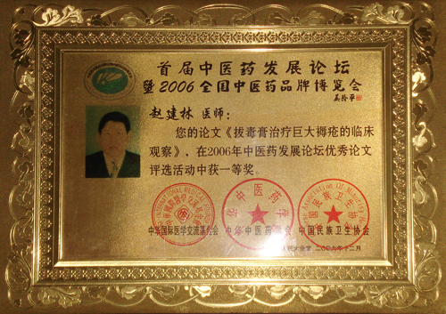 太原市迎澤區(qū)中醫(yī)醫(yī)院燒傷褥瘡科榮譽一